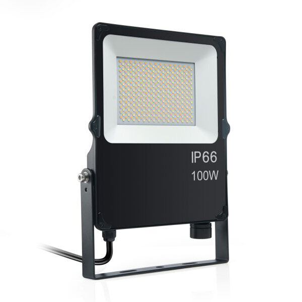 LED REFLEKTOR SMD 100W AC200-277V IP66 I...