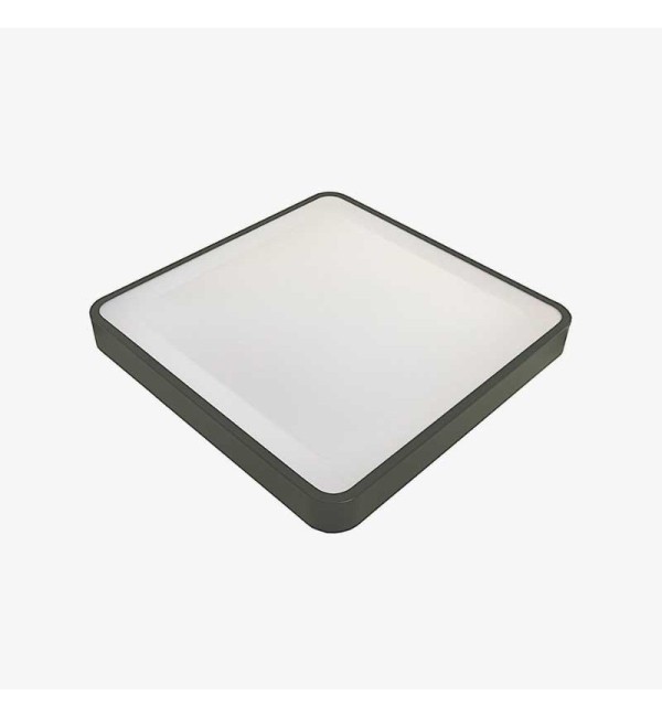 Nadgradna stropna LED svjetiljka Wilton 24W 4000K senzor pokreta