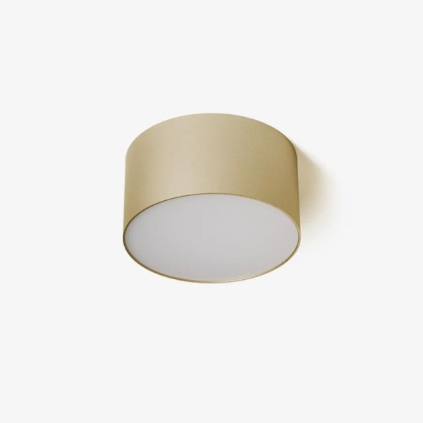 Stropna dimabilna LED svjetiljka LARISA R12 10W CCT podesiva boja svjetlosti Stropna dimabilna LED svjetiljka LARISA R12 10W CCT podesiva boja svjetlosti
