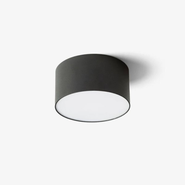 Stropna dimabilna LED svjetiljka LARISA R12 10W CCT podesiva boja svjetlosti Stropna dimabilna LED svjetiljka LARISA R12 10W CCT podesiva boja svjetlosti