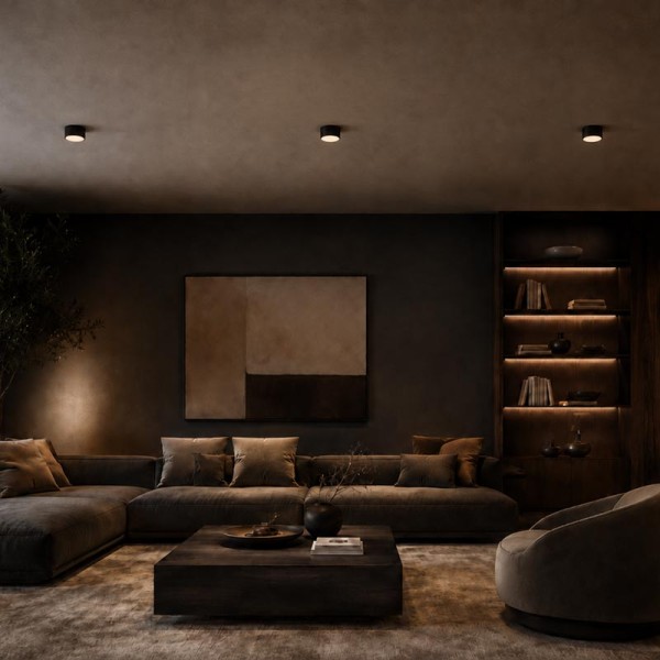 Stropna dimabilna LED svjetiljka LARISA R12 10W CCT podesiva boja svjetlosti Stropna dimabilna LED svjetiljka LARISA R12 10W CCT podesiva boja svjetlosti