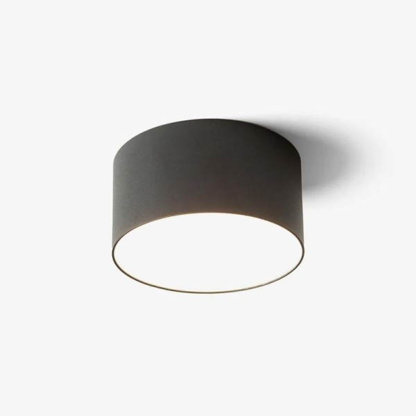Stropna LED svjetiljka LARISA R12 10W 3000K