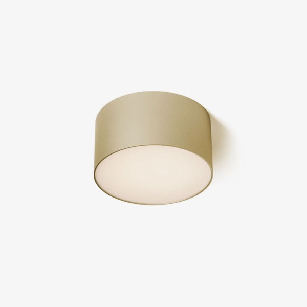 Stropna LED svjetiljka LARISA R12 10W 3000K