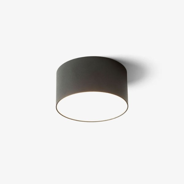 Stropna LED svjetiljka LARISA R12 10W 3000K