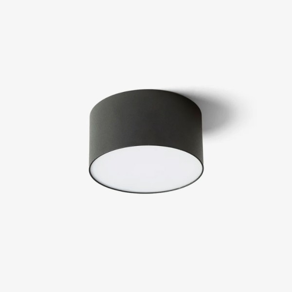 Stropna LED svjetiljka LARISA R12 10W 3000K