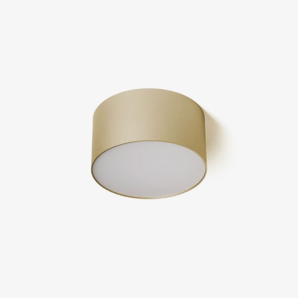 Stropna LED svjetiljka LARISA R12 10W 3000K