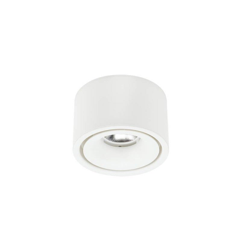 Stropna nadgradna bijela LED svjetiljka 10W 800 lm Bridgelux Chip
