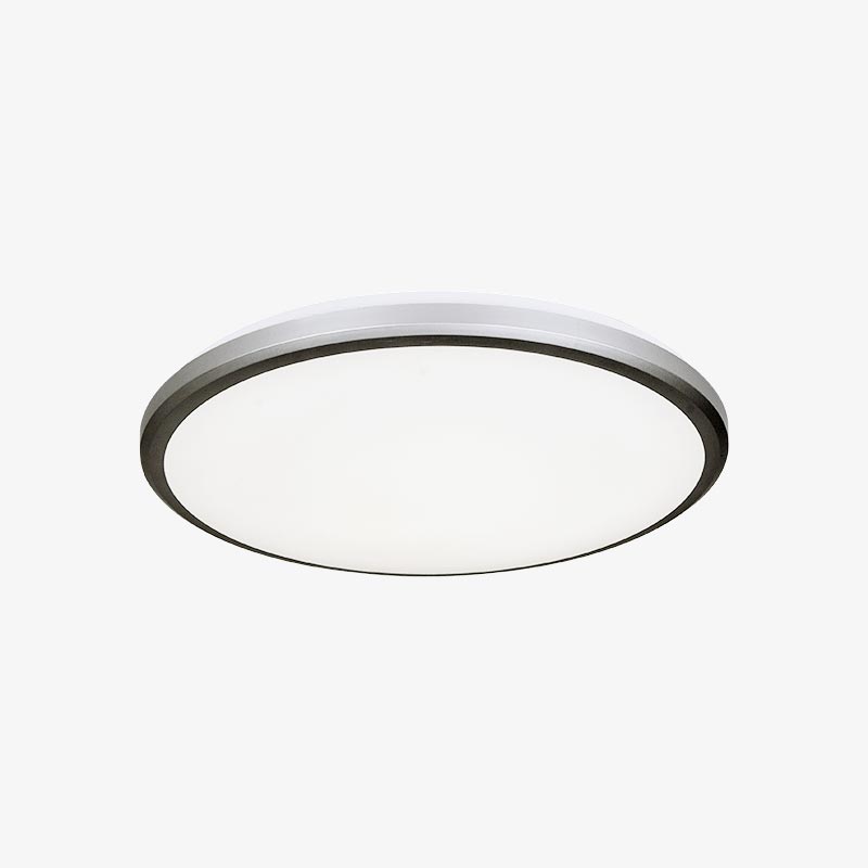 Stropna nadgradna LED svjetiljka / plafonjera 24W 4000K IP54