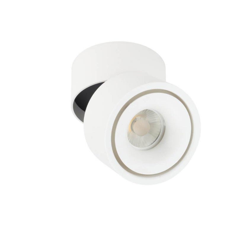 Stropna nadgradna rotirajuća bijela LED svjetiljka 12W 960 lm Bridgelux Chip