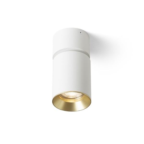Stropna/Zidna Montažna svjetiljka Dario 230V LED GU10