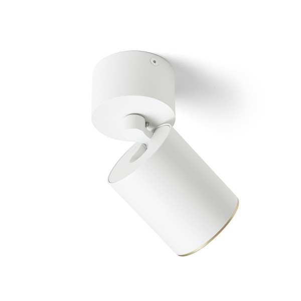 Stropna/Zidna Montažna svjetiljka Dario 230V LED GU10