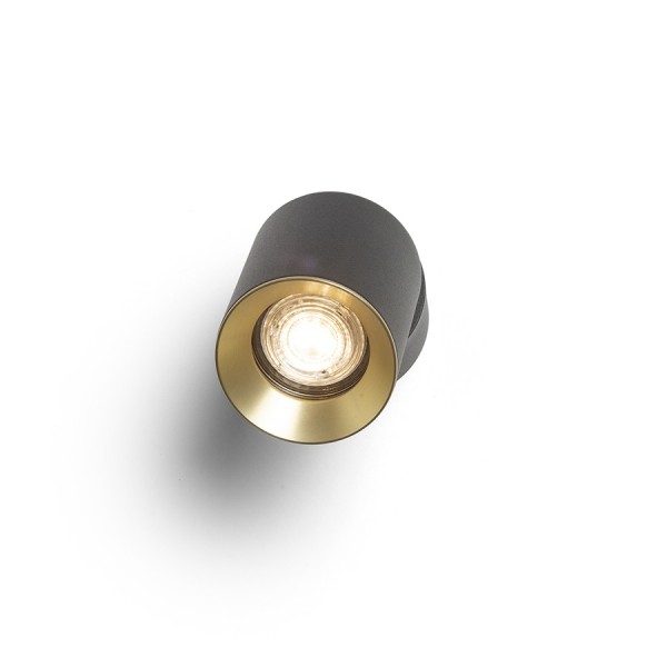 Stropna/Zidna Montažna svjetiljka Dario 230V LED GU10