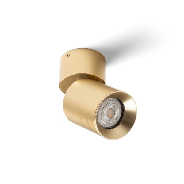 Stropna/Zidna Montažna svjetiljka Dario 230V LED GU10