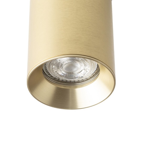 Stropna/Zidna Montažna svjetiljka Dario 230V LED GU10