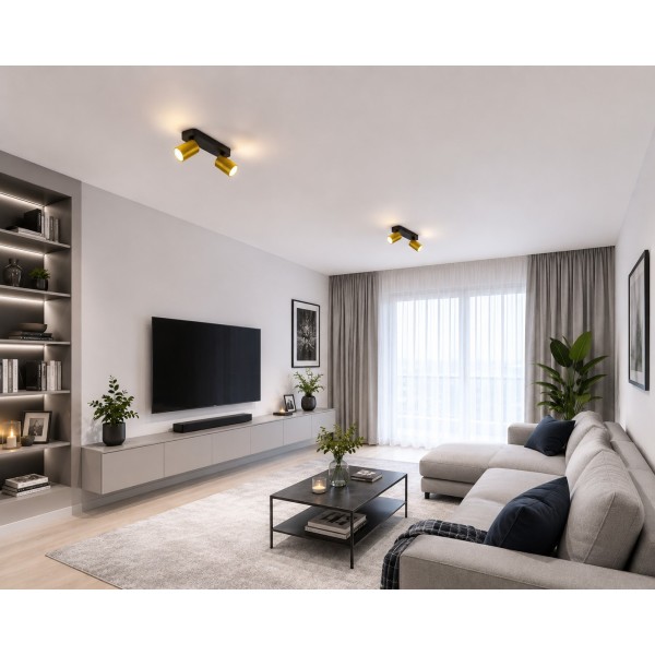 USMJERENA ZIDNA/STROPNA LED SVJETILJKA 2xGU10 230V Elan