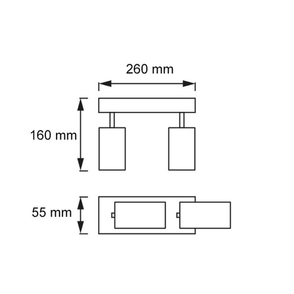 USMJERENA ZIDNA/STROPNA LED SVJETILJKA 2xGU10 230V Elan