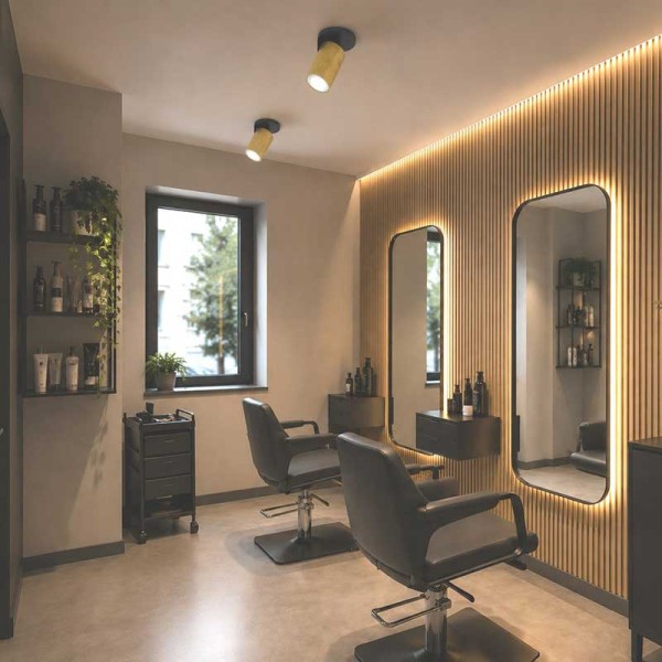 Zidni/Stropni LED reflektor Elan 230V GU10