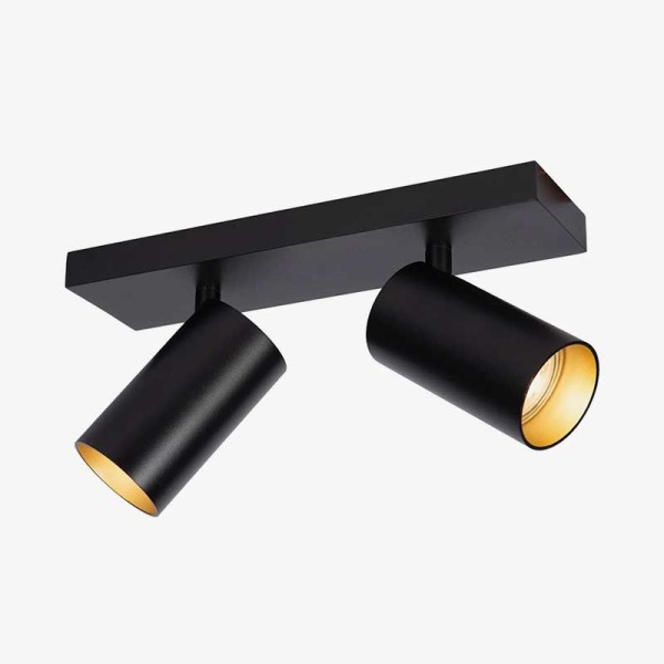 Zidni/Stropni LED reflektor Filo 2xGU10