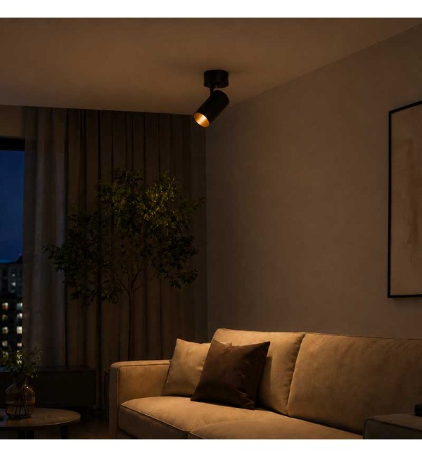Zidni/Stropni LED reflektor Filo GU10